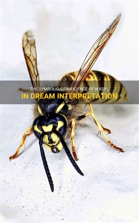 Exploring the Cultural Significance of Wasps in Dreams