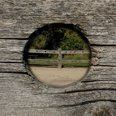 Exploring the Cultural and Historical Contexts of Fence Hole Dreams
