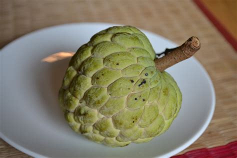 Exploring the Delightful Possibilities of Luscious Custard Apples in Culinary Creations