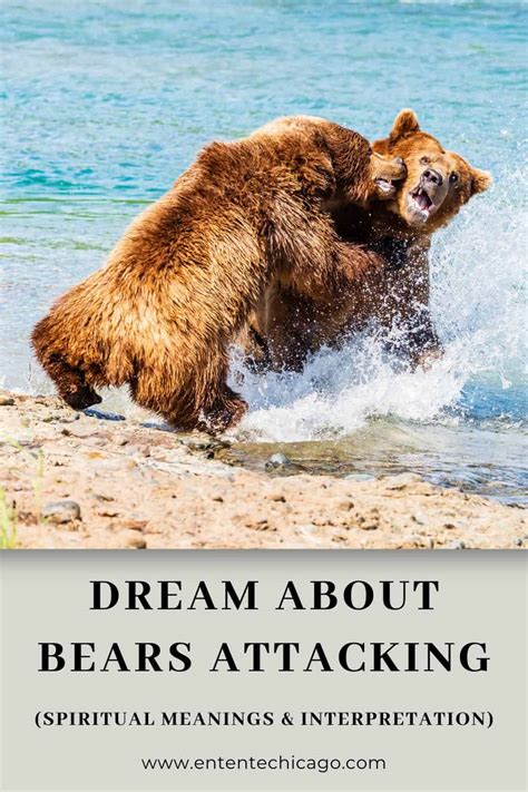 Exploring the Different Interpretations of Bear Confrontations in Dreamscapes