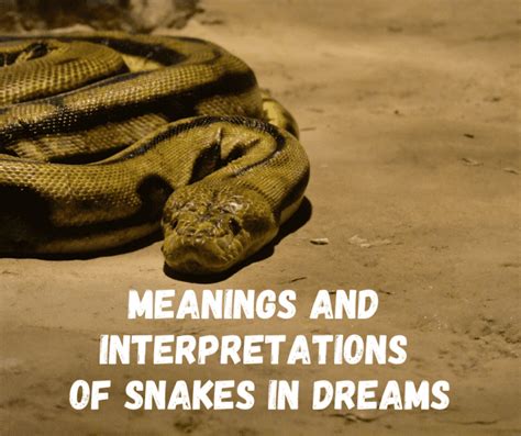 Exploring the Diverse Color Variations of Snakes within Dream Imagery