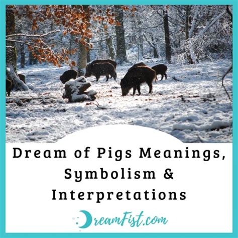 Exploring the Emotional Impact of Dreaming about Lifeless Piglets