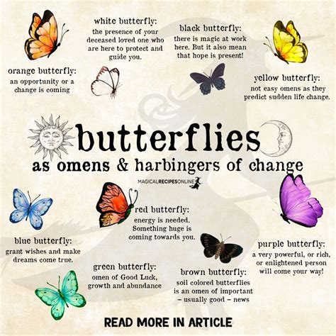 Exploring the Emotional Meanings Behind Fractured Butterflies in Reveries