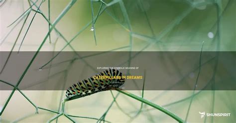 Exploring the Emotional Significance of Caterpillar Pursuit Dreams