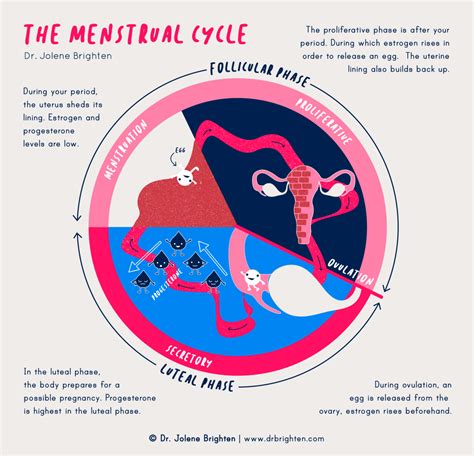 Exploring the Emotional Significance of a Girl's Initial Menstrual Cycle