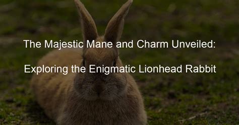 Exploring the Enigmatic Realm of Infant Bunnies as Subconscious Symbols