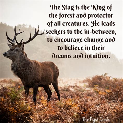 Exploring the Enigmatic Significance of Descending Stags