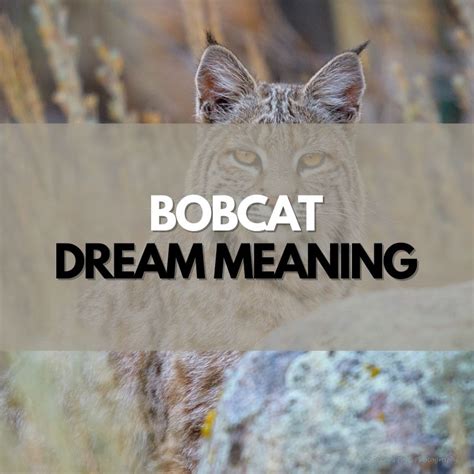 Exploring the Fascinating Interpretation of Bobcat Bite Dreams