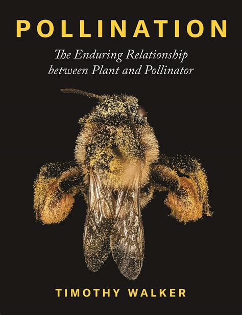 Exploring the Fascinating Relationship between Pollinators and the Subconscious