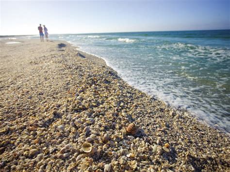 Exploring the Finest Shorelines for Clam Hunting Excursions