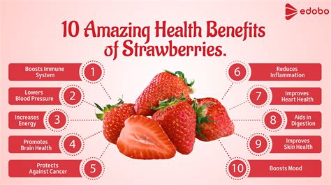 Exploring the Health Benefits of Juicy Strawberries and their Nutritional Value