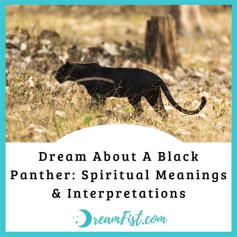 Exploring the Impact of Cultural and Historical Context on Interpreting Panther Pursuit Dreams