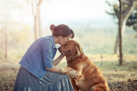 Exploring the Intrigue Surrounding Female Canine Companionship