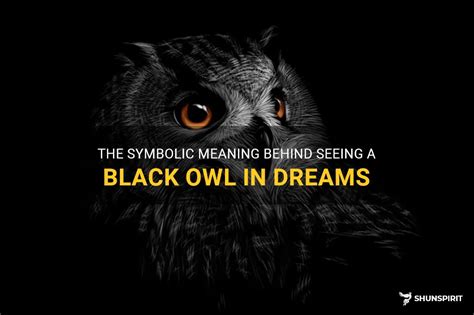Exploring the Link Between Black Owl Dreams and Intuition: Unraveling Insightful Meanings