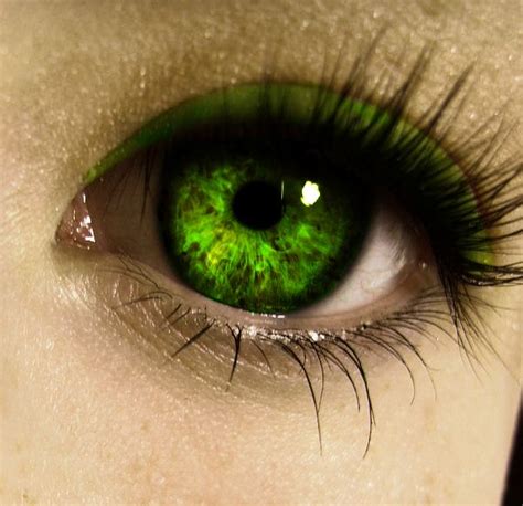 Exploring the Link Between Emerald Eyes and Emotional States