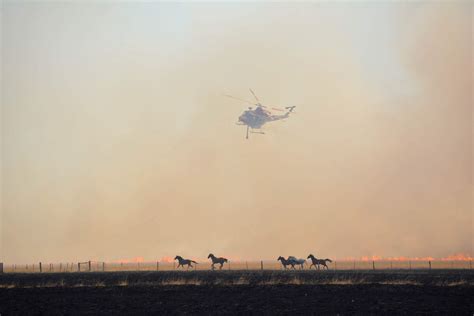 Exploring the Link between Stress and Dreams of Catastrophic Fires in Medical Facilities