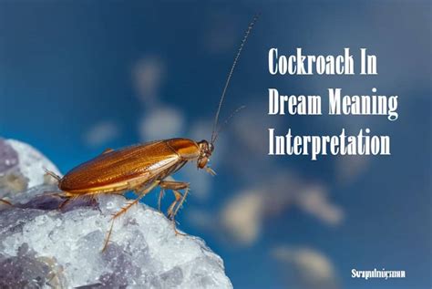 Exploring the Meaning Behind Cockroaches Arising from the Mouth