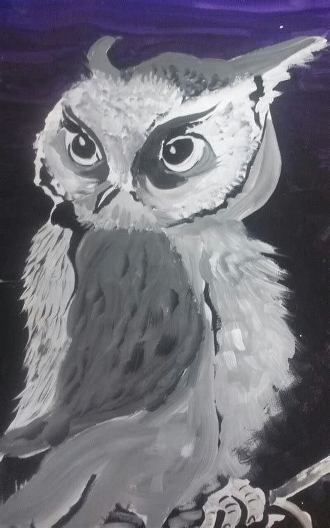 Exploring the Meaning behind Monochromatic Owls