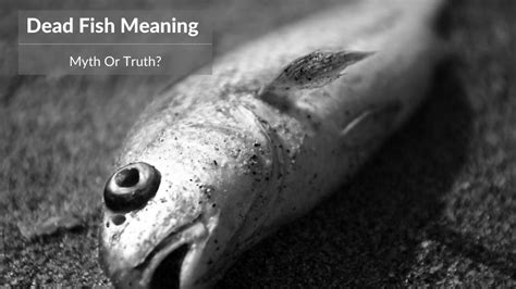 Exploring the Meaning of Symbolism Associated with Deceased Fish