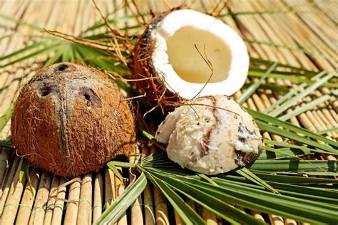 Exploring the Meanings Behind Coconut Dreams in the Context of Hinduism