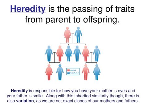 Exploring the Parent-Offspring Relationship in Dream Interpretation