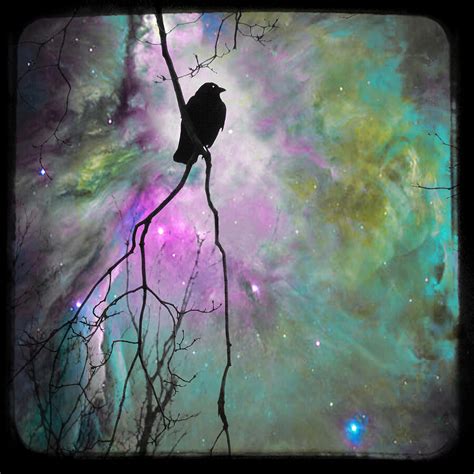 Exploring the Potential Healing Essence of Crow Dreamscapes
