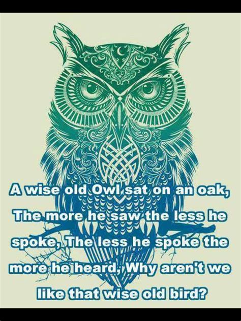 Exploring the Profound Connection between Owls and Wisdom