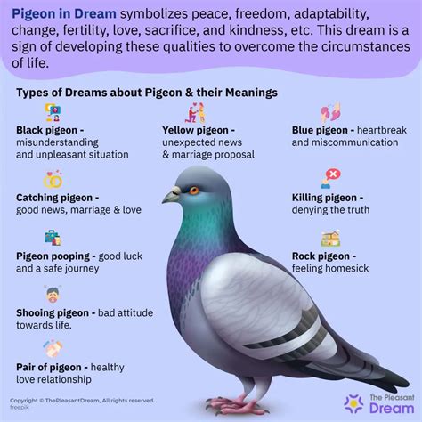 Exploring the Profound Psychological Significance of Pigeon Dreams