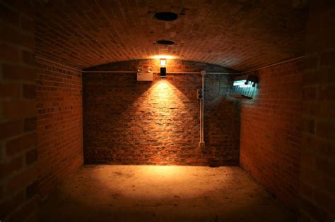 Exploring the Profound Significance of Cellar Nightmares