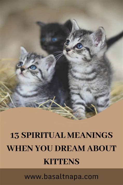 Exploring the Profound Significance of Dreams Featuring Moribund Kittens