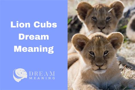Exploring the Profound Significance of Dreams Involving Lion Cubs