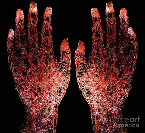 Exploring the Psychological Implications of Dreams Involving Hands Covered in Blood