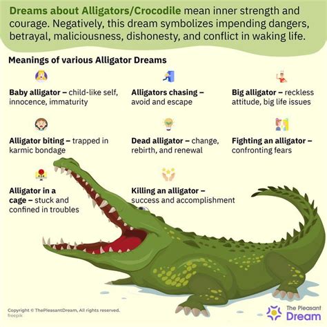 Exploring the Psychological Significance of Alligators in the Interpretation of Dreams