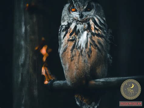 Exploring the Psychological Significance of Owl Dream Interpretation