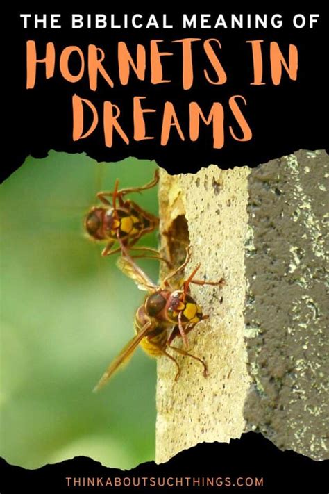 Exploring the Role of Fear in Dreams Involving Hornet Attacks