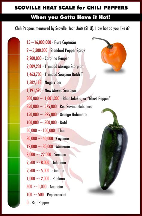 Exploring the Scoville Scale: An Insight into the Heat Levels of Chili Peppers