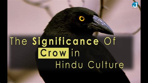 Exploring the Significance of Crow Aggression in Hindu Dream Interpretation