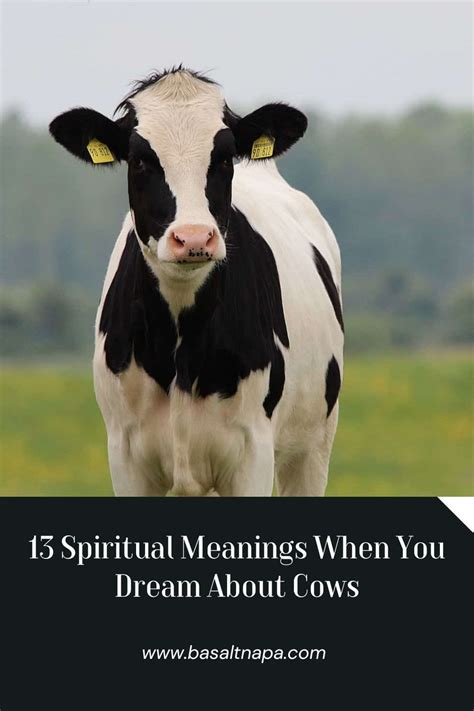 Exploring the Significance of Dreaming about Passed Cows: Unraveling the Spiritual Significance