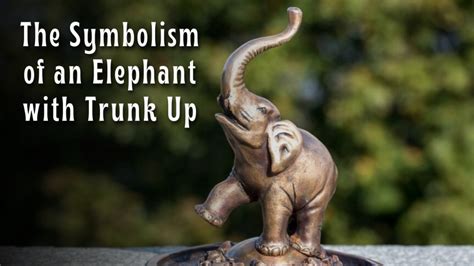 Exploring the Significance of Elephant Trunk Dreams in Relation to Leadership and Authority