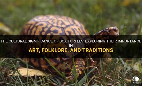 Exploring the Significance of Turtles within Cultural and Mythological Contexts