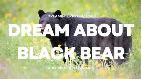 Exploring the Spiritual Significance of Dreaming About a Black Bear