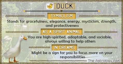 Exploring the Spiritual Significance of Dreams involving the Emergence of a Duck