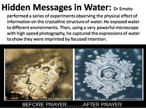 Exploring the Subliminal Messages Encrypted in Aquatic Environments