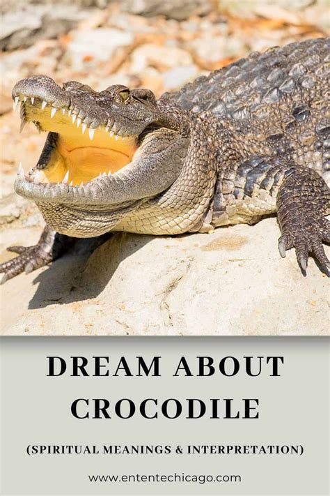Exploring the Symbolic Interpretation of a Dream Involving a Crocodile Attacking a Leg