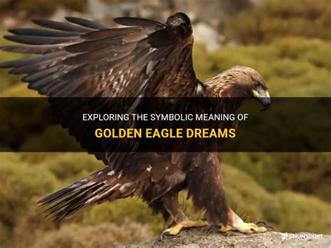 Exploring the Symbolic Significance of Eagle Dreams