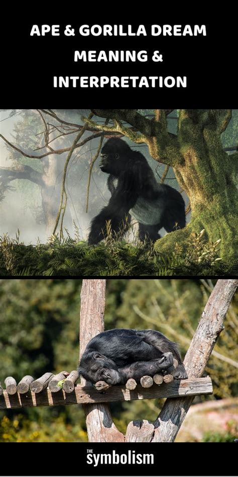 Exploring the Symbolic Significance of an Enormous Ape in Fantasies