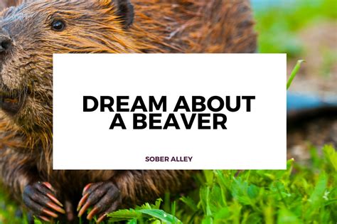 Exploring the Symbolism of Beaver Attacks in Dream Interpretation