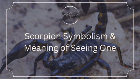 Exploring the Symbolism of Scorpions in Dreamscapes