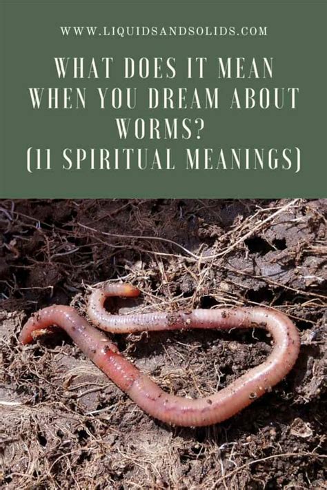 Exploring the Symbolism of Worms in Dreams