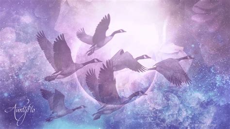 Exploring the Symbolism of an Aggressive Bird Encounter in the Realm of Dreams